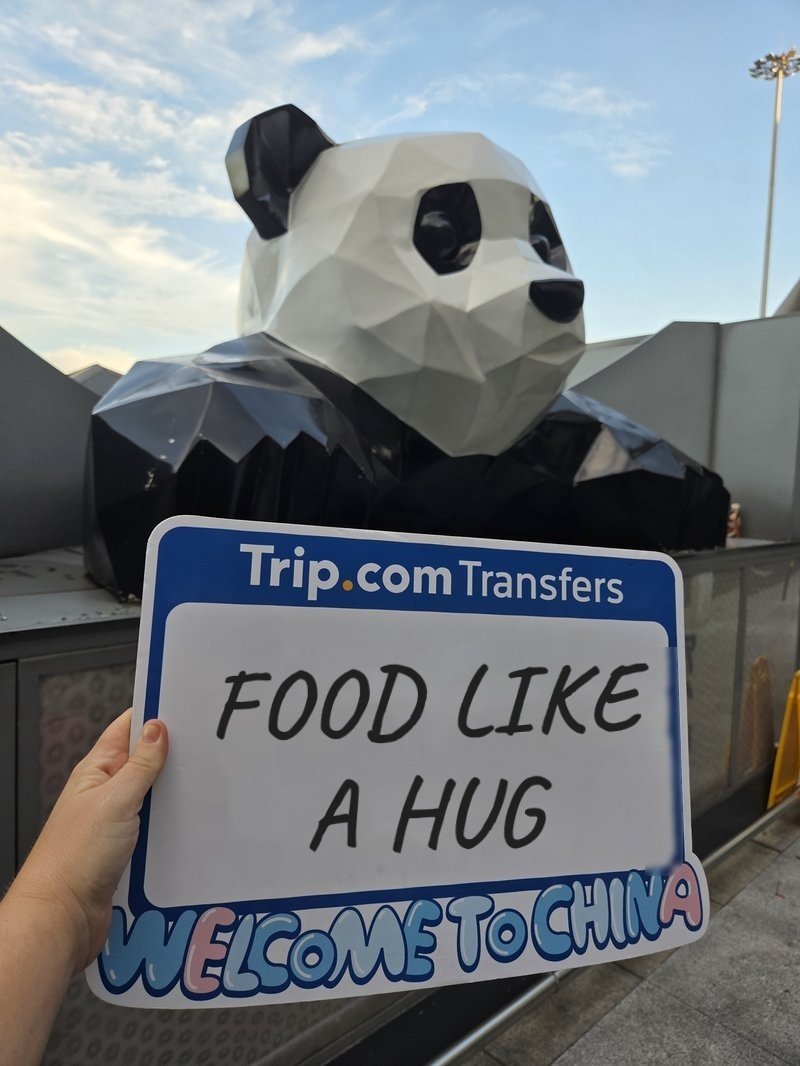 Plaquinha do transfer Trip.com de Lizia no desembarque