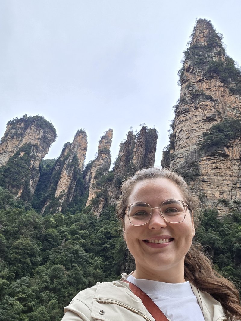 Lizia nas montanhas de pedra de Zhangjiajie