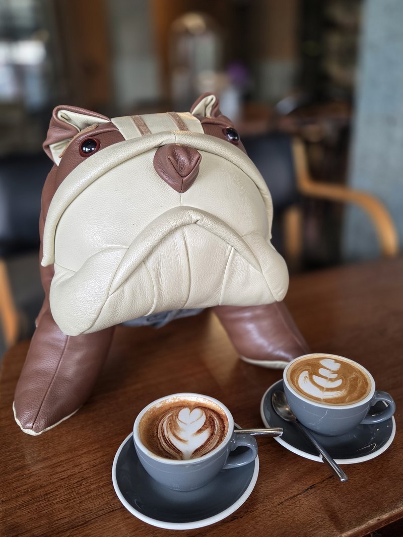 Café especial em Chiang Mai