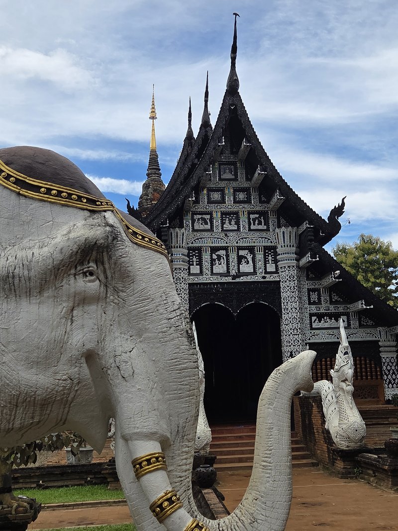 Wat Lok Moli e elefante sagrado